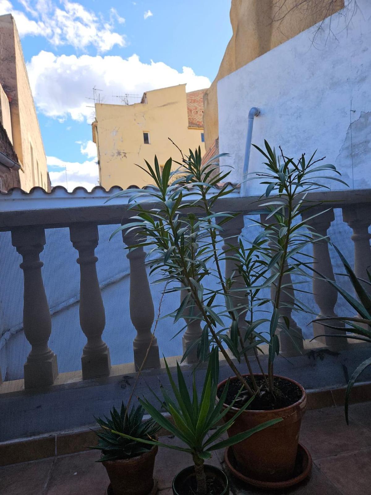 River Ebro Apartments Мора-де-Эбро Экстерьер фото